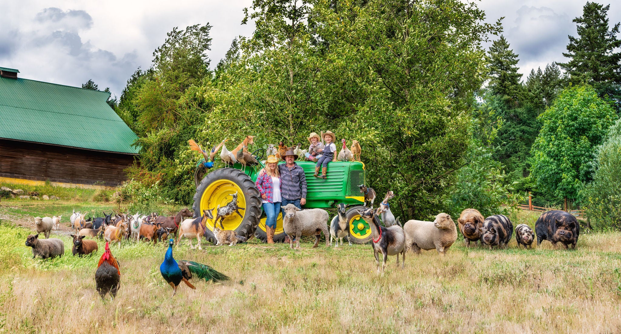 Yellow Point Farms Ltd. Yellow Point Farms Ltd.
